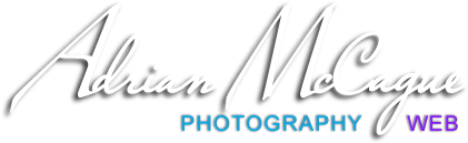 logo of adrian mccague web services